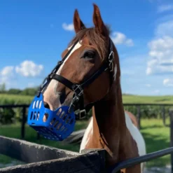 GG Equine GreenGuard Grazing Muzzle -Farm housse 1055e3ba 4735 4be7 a84f 75d962345ed1