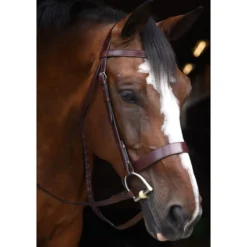 KL Select Italia Foxwell Hunt Bridle