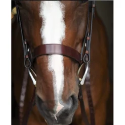 KL Select Italia Foxwell Hunt Bridle -Farm housse 111104 06 KL Foxwell.Hunt .Bridle Brown Noseband