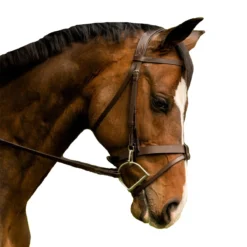 Black Oak By KL Select Maple Training Bridle