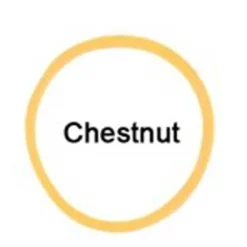 Braiding Bands - 500 Count 9 Braiding Bands - 500 Count -Farm housse 14419 Jacks bands Chesnut Front