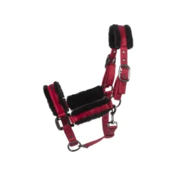 Cavallo Jero Halter - Sale -Farm housse 16659fc4 4ee7 4a51 8f3c 43f6e5e07ba9