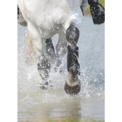 Arma Cross Country Front Boots -Farm housse 1894 Shires Arma.Cross .Country.Front .Boots Black LS