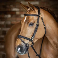 LeMieux Kudos Work Bridle -Farm housse 2305c642 6532 473d b4c4 493d274d20ce