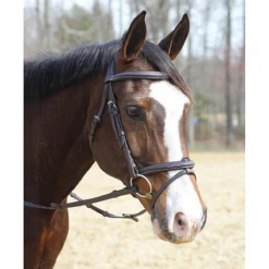 HDR Kushy Bridle With Detachable Flash -Farm housse 24184 JPC HDR Kushy.Bdl .w.Detach.Flash Front1