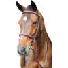 HDR Pro Fancy Raised Comfort Crown Padded Bridle With Fancy Raised Reins -Farm housse 2483 JPC Fancy.Raised.Comfort.Crown .Padded.Bridle.With .Fancy .Raised.Reins