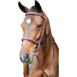 HDR Pro Fancy Raised Comfort Crown Padded Bridle With Fancy Raised Reins