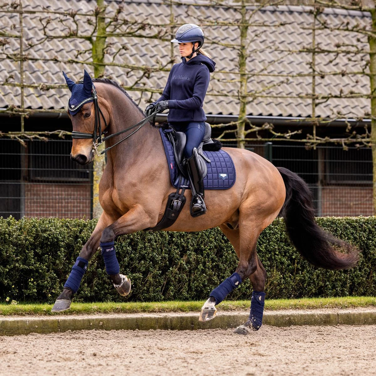 LeMieux Loire Classic Dressage Square 19 LeMieux Loire Classic Dressage Square - Image 17