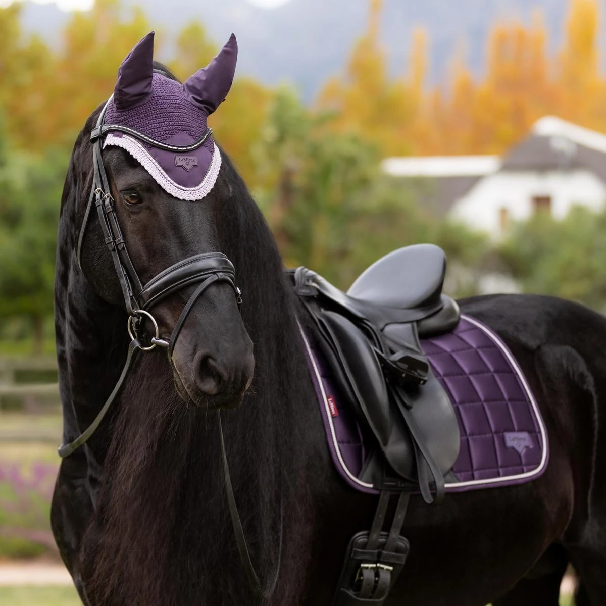 LeMieux Loire Classic Dressage Square 9 LeMieux Loire Classic Dressage Square - Image 7