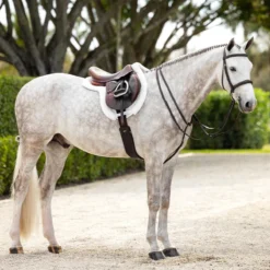 LeMieux Hunter Girth With Detachable Non-Slip Liner -Farm housse 2b0ab95c 6c16 4ff3 b6a0 f7b388d59a48