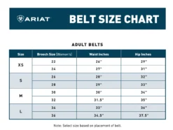 Ariat Women's Tack Room Belt -Farm housse 2fdcde09047c9be8f2e886ceac5e6aab 06b920e3 26bf 4c8f bcf6 ce7b9bfdabd6