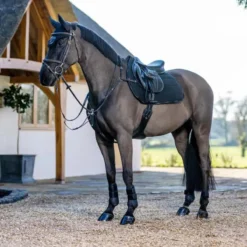 LeMieux GP Work Pad 14 LeMieux GP Work Pad -Farm housse 306a9ea8 90df 4258 b35a 097bc31444d3