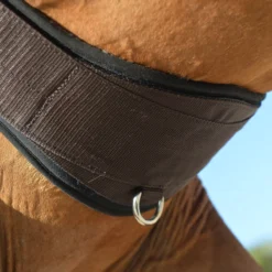 EquiFit Essential Schooling Girth -Farm housse 32950 EquiFit Essential.Schooling.Girth SmartFabric4