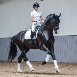 LeMieux Cotton Dressage Square Pad 26 LeMieux Cotton Dressage Square Pad -Farm housse 397c4297 ba8c 4d14 b439 81163c1cf125