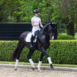 LeMieux Suede Dressage Square Pad -Farm housse 39d38e16 b7f9 4c98 9b03 f08bda39cb62