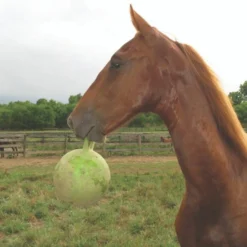 Jolly Ball With Handle 10" - Scented -Farm housse 46a86c62 54ed 4f4d b5e0 7286c7fc0af0