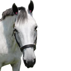 POMMS Dimpled Equine Ear Plugs -Farm housse 470278 ERS Colored.Practice.Pomms Pink IRL