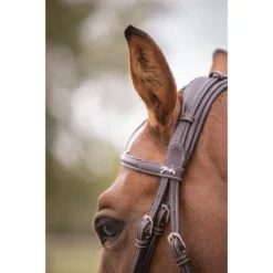 Penelope Elegance Bridle -Farm housse 4a74ef700e7cc6991e47b13b7d5dd40d