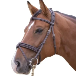Penelope Elegance Bridle