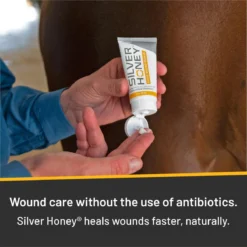 Silver Honey Hot Spot & Wound Care Ointment -Farm housse 4d0b54f2 d20b 451b 9975 1bd1afae8ad6