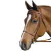 HDR Pro Fancy Raised Bridle With Laced Reins 2 HDR Pro Fancy Raised Bridle With Laced Reins -Farm housse 5004 01 JPC HDR Pro.Fancy .Raised.Bridle.Laced .Reins