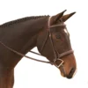 Red Barn By KL Select Tryon Hunter Bridle -Farm housse 511101 KL.Select Tryon.Bridle
