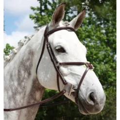 Red Barn By KL Select Equinox Figure 8 Bridle -Farm housse 5116 KL Equinox.Bridle Brown Front