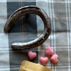 Dapper Darling Horse Treats -Farm housse 60bd172e 5ad6 4f5e acbe 82cbbbcc7950