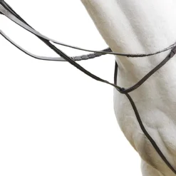 Avignon Standing Martingale