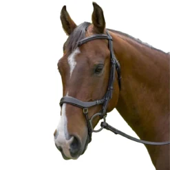 HDR Pro Anatomical Bridle
