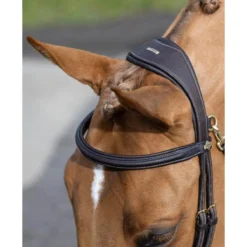 LeMieux Kudos Work Bridle -Farm housse 71bdb78c96f7572db8ded2edbdcc6f59