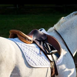 ThinLine Trifecta Cotton Half Pad -Farm housse 7306 trifecta.cotton.half .pad wht riding 2 c94b90dd 7687 4ff5 a4be bd02f86b0a77