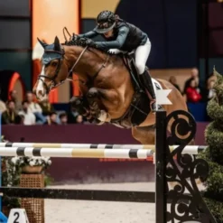 Seaver Safefit Airbag Vest 15 Seaver Safefit Airbag Vest -Farm housse 7369dda0 82fe 4d10 95be c8640948db9f