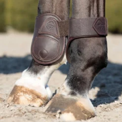 LeMieux Capella Fetlock Boots 23 LeMieux Capella Fetlock Boots -Farm housse 7460fa06c7cba28b1325029f074c6474