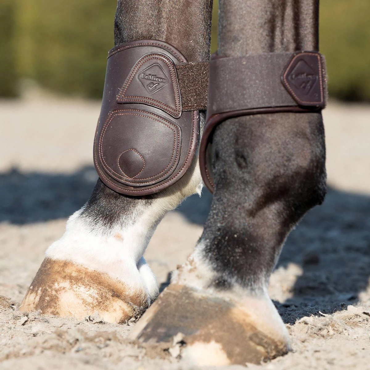 LeMieux Capella Fetlock Boots 10 LeMieux Capella Fetlock Boots - Image 8