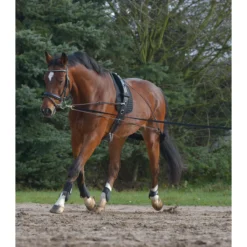 Waldhausen Lunging System -Farm housse 8104701 Waldhausen Lunging.System