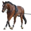 Waldhausen Lunging System -Farm housse 8104701 Waldhausen Lunging.System.2