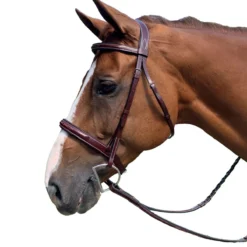 KL Select Italia Tuscany Hunter Bridle -Farm housse 853cf4849b60bdaca33e255efcc53684