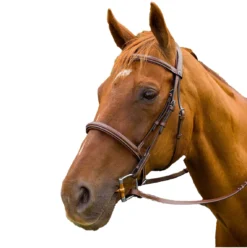 HDR Pro Mono Crown Padded Fancy Bridle -Farm housse 88d3f95f aa09 4ce5 acba 270e4a28f645