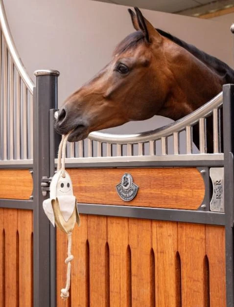 Lemieux Horse Toy Banana 4 Lemieux Horse Toy Banana - Image 2