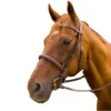 HDR Pro Mono Crown Padded Fancy Bridle 1 HDR Pro Mono Crown Padded Fancy Bridle -Farm housse 93390325 6e08 4a88 b815 4761d10e34c3