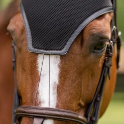 EquiFit HeadsUp Ear Bonnet -Farm housse 9a76ac0b ce40 4a5b 97a4 ee0fe07df077