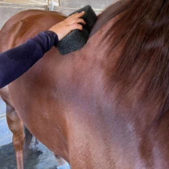 Epona Tiger's Tongue Horse Groomer -Farm housse Apona Tigers.Tongue Horse.Groomer.3