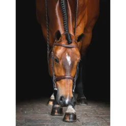 Equiline Scott Stewart Hunter Bridle -Farm housse BJ150 EQline Scott.Stewart.Hunter.Bridle Brown IRL