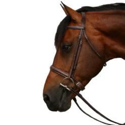 Equiline Scott Stewart Hunter Bridle -Farm housse BJ150 EQline Scott.Stewart.Hunter.Bridle Brown Side
