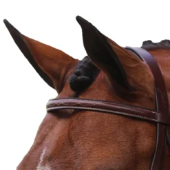 Equiline Scott Stewart Hunter Bridle -Farm housse BJ150 EQline Scott.Stewart.Hunter.Bridle Brown Top