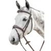 Prestige 3E141 Bridle With Stitching 2 Prestige 3E141 Bridle With Stitching -Farm housse E141 99592.1590601918.1280.1280