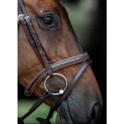 Equiline Fancy Stitched Noseband -Farm housse Equiline Fancy.Stitched.Noseband.1 Brown