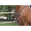 Jump'in Elastic Breastplate - One Collection -Farm housse JI CCOE1