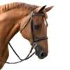 Red Barn By KL Select Icon Hunter Bridle -Farm housse KL.Select Icon.Bridle